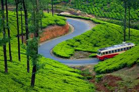 Munnar – Alleppey Tour package