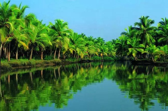 Trivandrum-Kanyakumari-Kovalam-Alleppey-Kumarakom-Thekkady-Munnar-Cochin