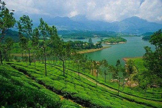 Munnar-Alleppey-Kumarakom Tour Package