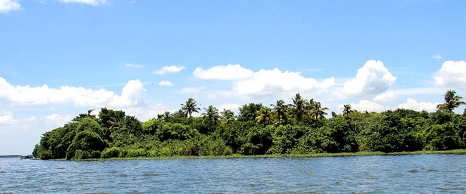 Munnar-Alleppey-Kumarakom Tour Package