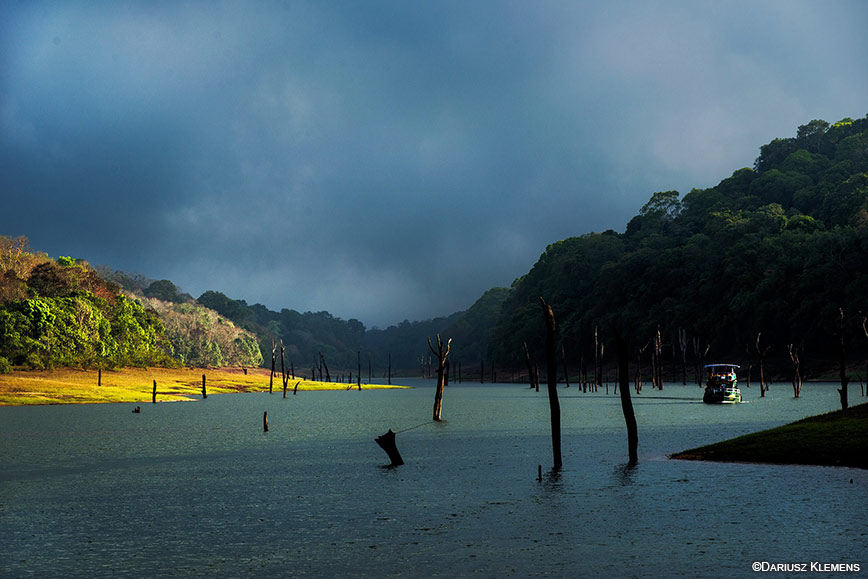 Munnar- Thekkady Tour Package
